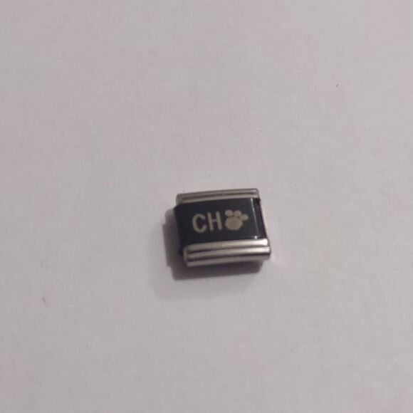 CH 🐾 Dangle Italian Link Stainless Steel Charm‎ for Nomination Bracelet - Picture 1 of 2